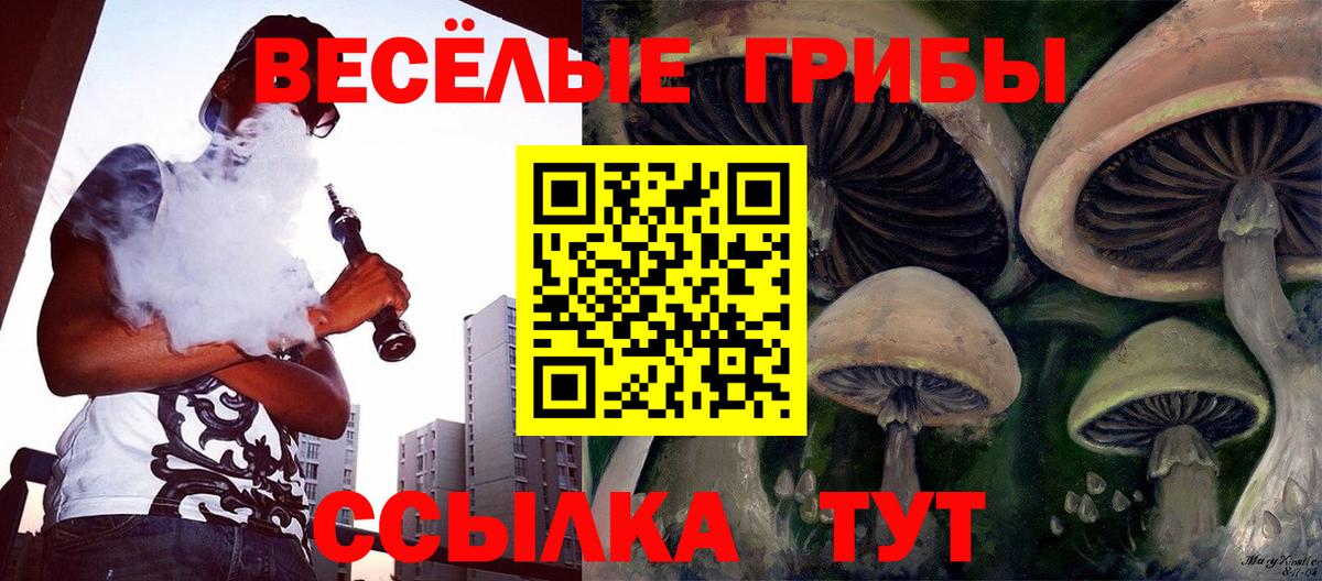 Псилоцибиновые грибы GOLDEN TEACHER  Вход с VPN  цены   Галлюциногенные грибы прущие грибы  Ставрополь 